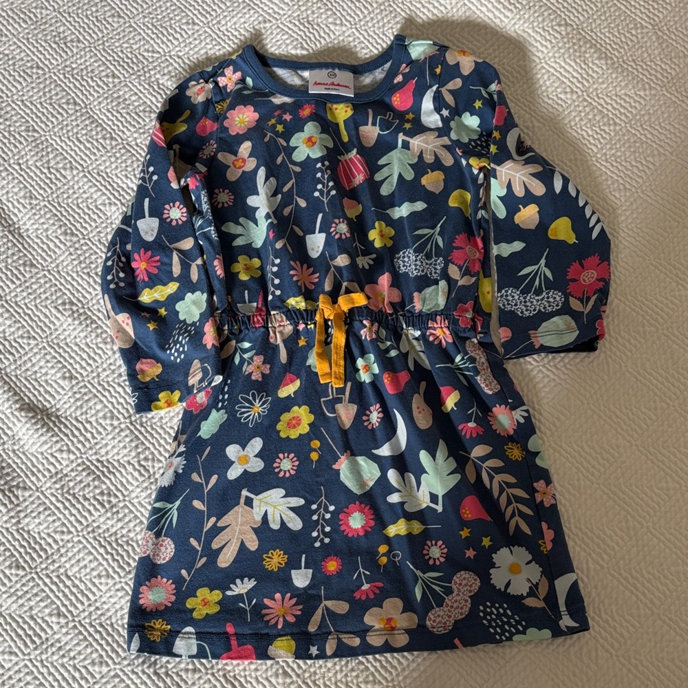 Hanna Andersson Blue Floral Kids Dress